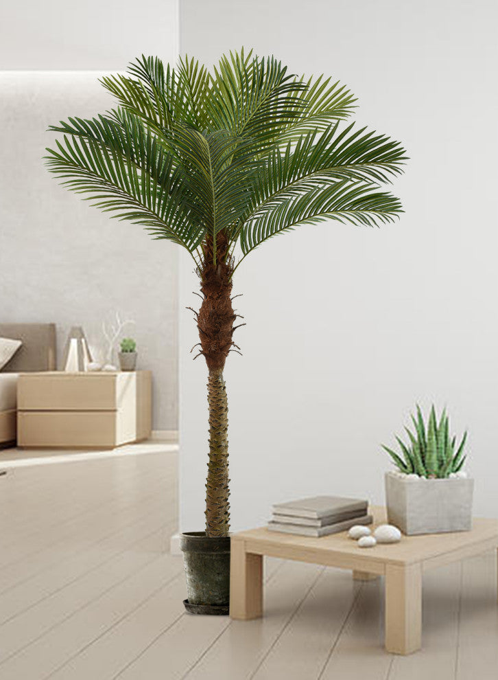 Serene Spaces Living Areca Palm Tree, 72"