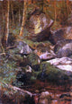 Albert Bierstadt Forest Stream Premium Canvas Print