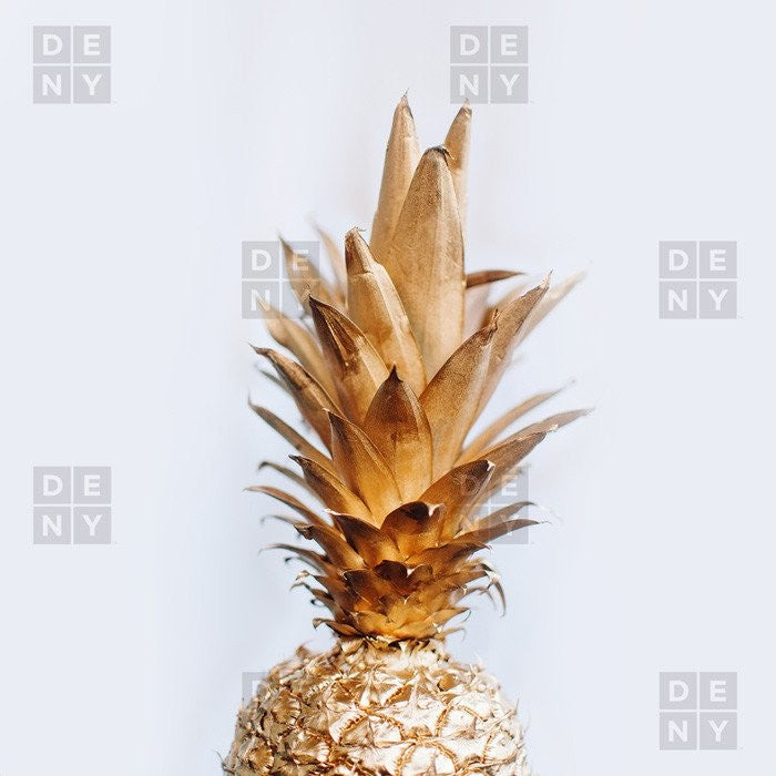 Chelsea Victoria Yes I Like Pina Coladas Shower Curtain, 72"x69"
