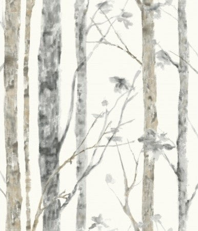 Birch Trees Peel and Stick Wallpaper