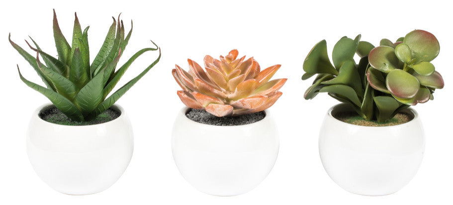 Vickerman 5" Artificial Assorted Potted Succulents