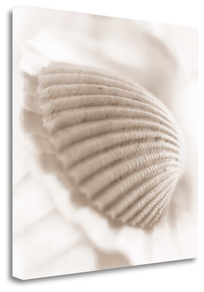 "Atlantis 3" By Alan Blaustein,Ready to Hang Giclee Print on Gallery Wrap Canvas