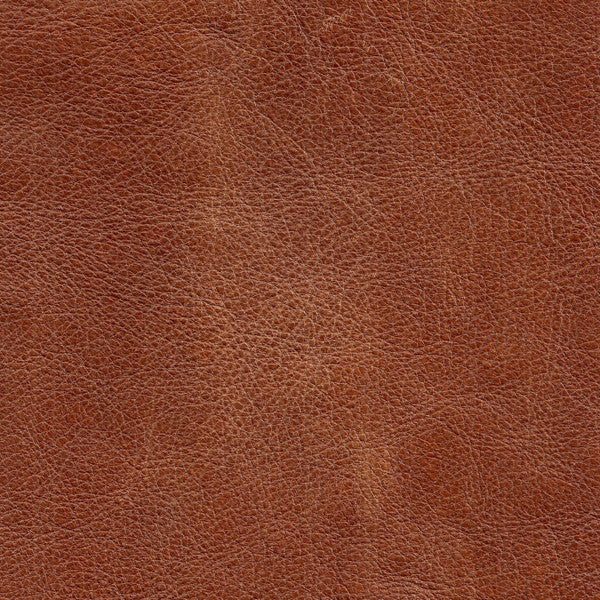 May Side Chair, Amber Ventura Leather, Brass Powder Coat