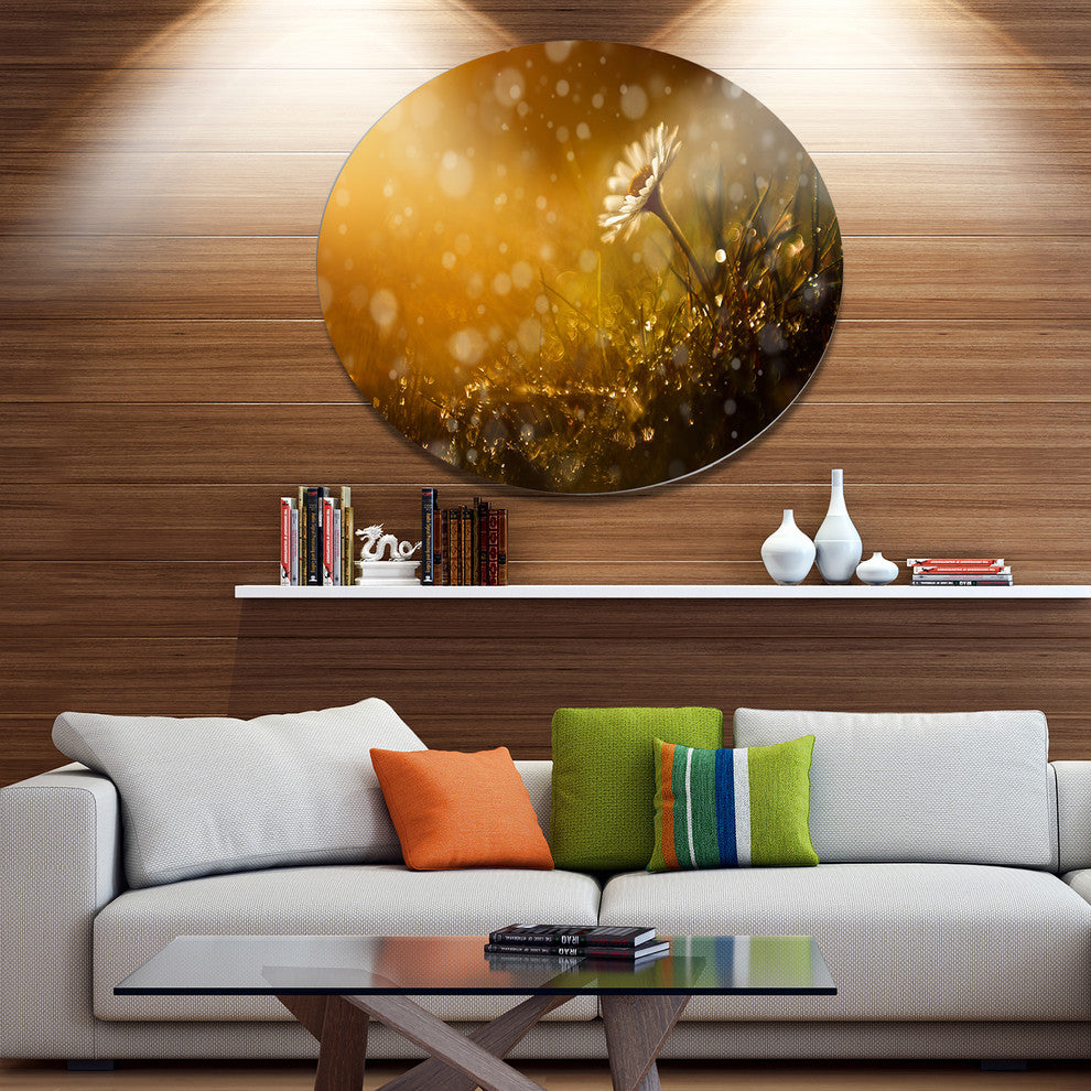 Forest After Rain During Sunset, Flower Disc Metal Wall Art, 11"