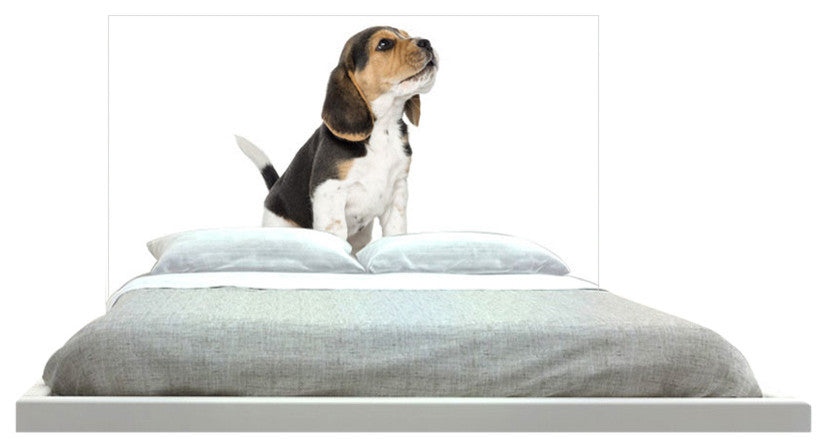"Beagle Howling" Headboard