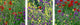 "Wildflowers El Escorial Spain" Canvas Art, 60"x20"x1.25"