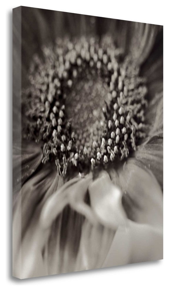 "Florison - 2" By Alan Blaustein, Giclee Print on Gallery Wrap Canvas
