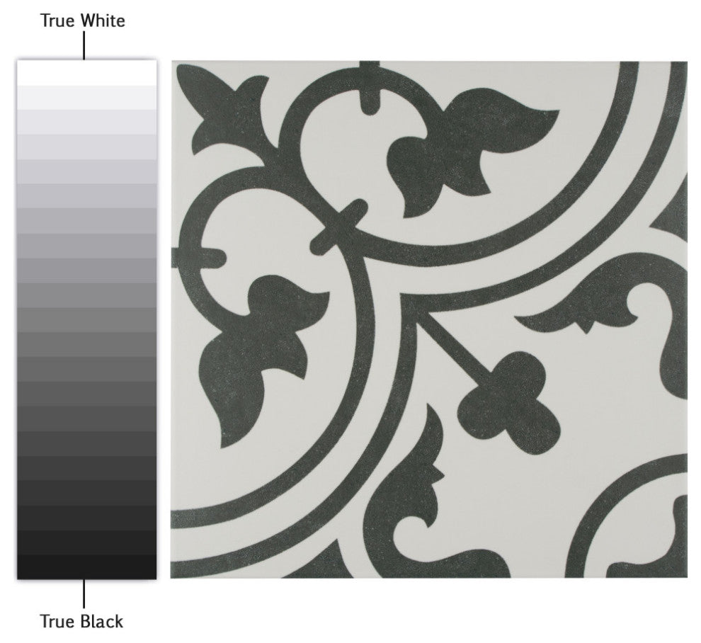 Arte Encaustic Porcelain Floor and Wall Tile, White