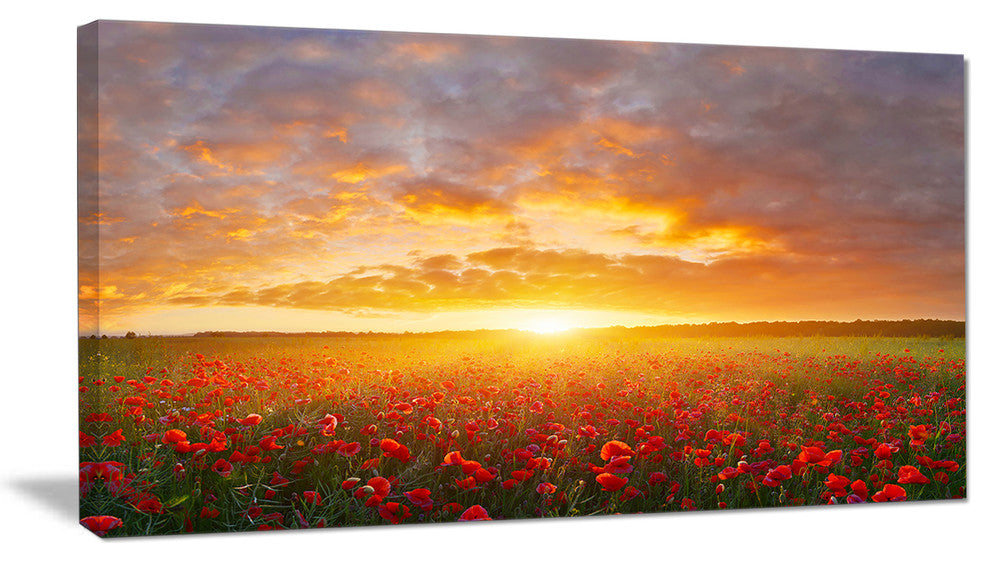 Poppy Field under Bright Sunset, Landscape Canvas Art Print, 32"x16"