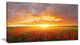 Poppy Field under Bright Sunset, Landscape Canvas Art Print, 32"x16"