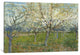 "The Pink Orchard" Wrapped Canvas Art Print, 18x12x1.5