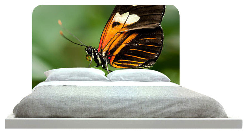 "Butterfly" Headboard