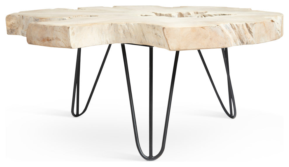 Bleached Slice Coffee Table, Iron Legs