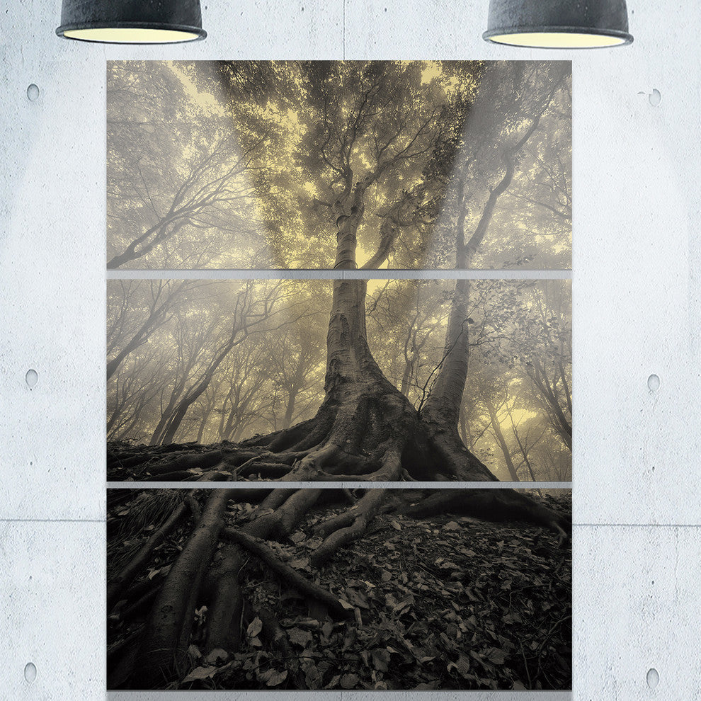 "Tree With Big Roots on Halloween" Photo Metal Wall Art, 3 Panels, 28"x36"