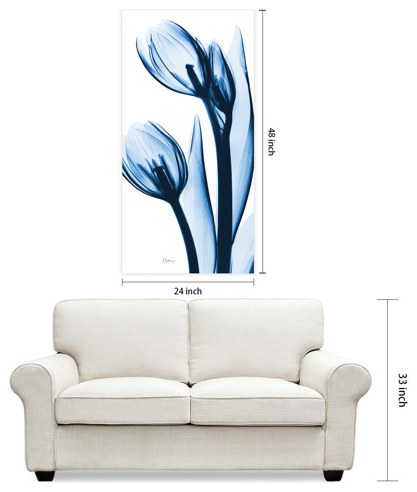 "Two Blue Tulips" Frameless Free Floating Panel Graphic Wall Art, 48"x24"