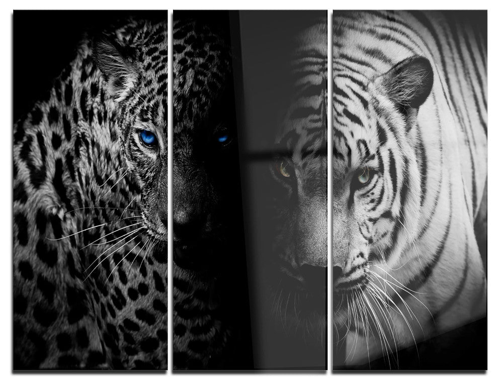 "Leopard and Tiger in Black" Digital Metal Wall Art, 3 Panels, 36"x28"