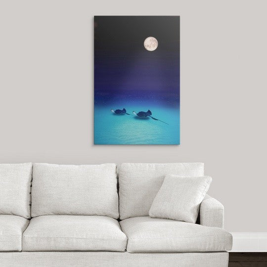 "Southern Stingrays Grand Caymans" Canvas Art, 24"x36"x1.25"