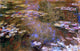 Claude Oscar Monet The WaterLily Pond Premium Canvas Print