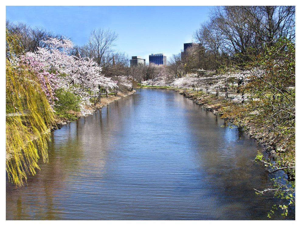 Artwork, Springtime On The Esplanade, Sadkowski Boston Collection