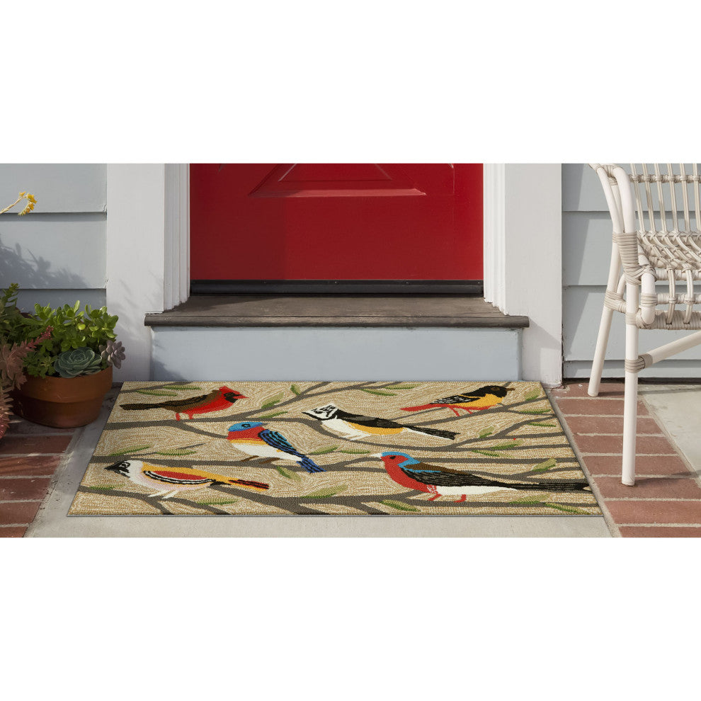 Frontporch Birds Indoor/Outdoor Rug Multi 2'x3'