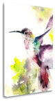 "Hummingbird" By Canotstop, Giclee Print on Gallery Wrap Canvas, Ready to Hang