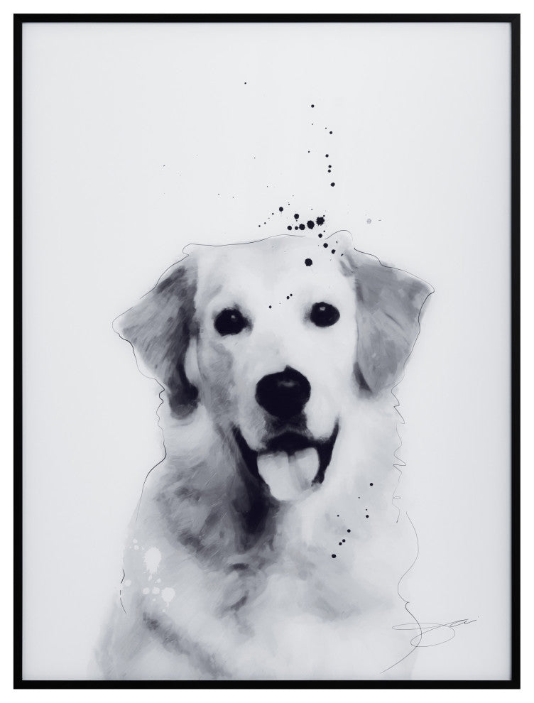 "Golden Retriever" Black and White Pet Art on Printed Glass with Anodized Frame