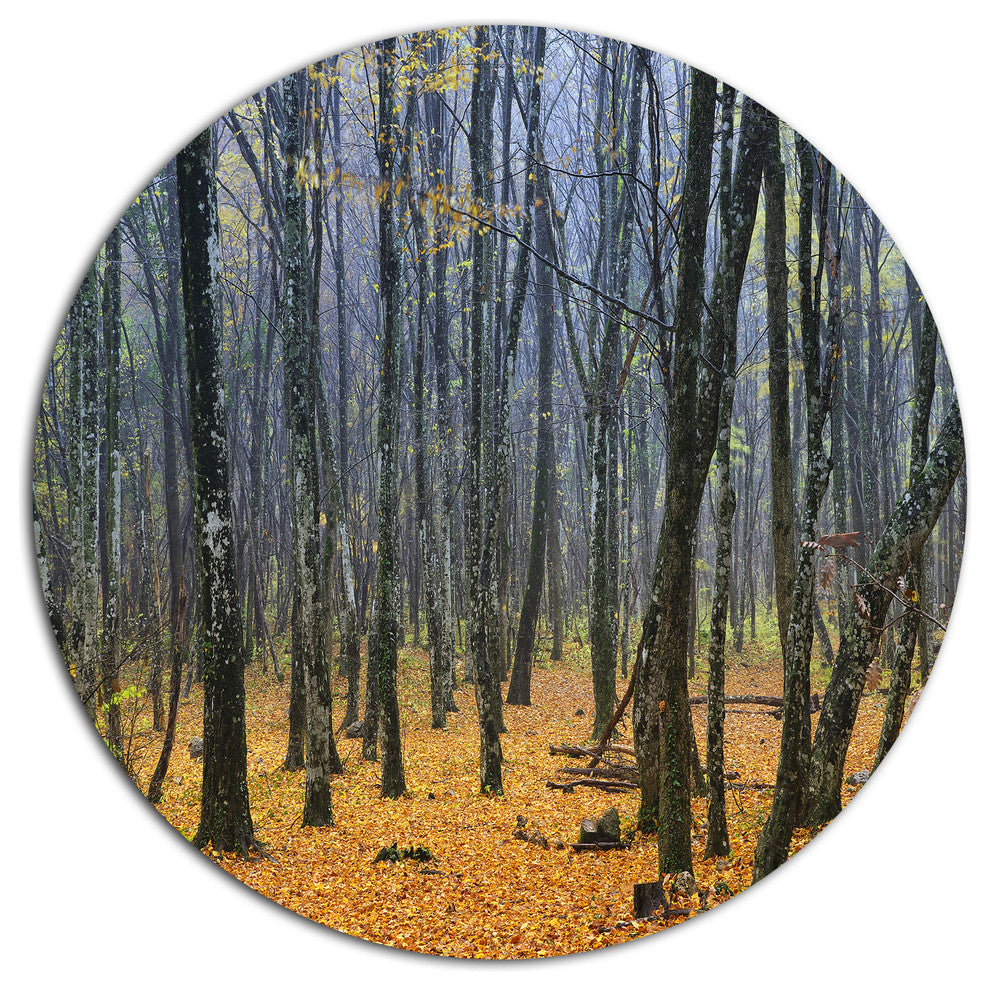 Dark Woods In Autumn Forest, Modern Forest Round Wall Art, 11"