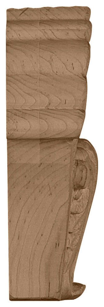 5 1/4"W x 2"D x 6 1/2"H Medium Acanthus in Shell Corbel, Cherry
