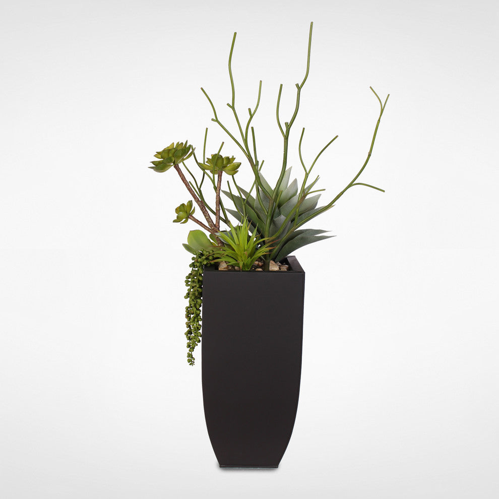 Botanical Succulent Variety With Tall Black Modern Metal Planter