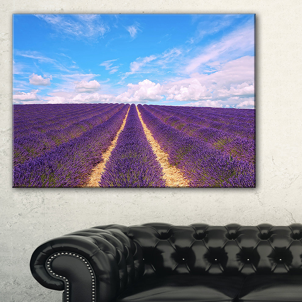 "Blooming Lavender Flower Field" Landscape Wall Art Print, 40"x20"