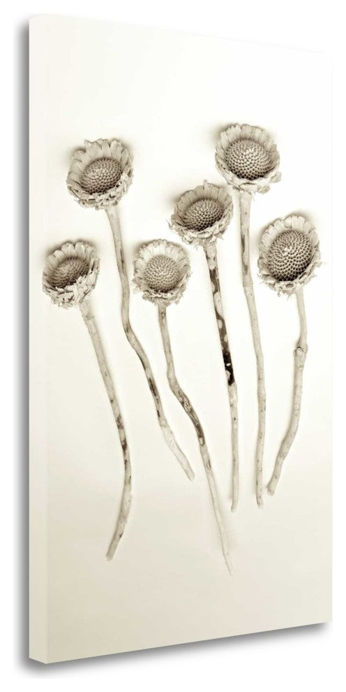 "Garden Bloom - 18" By Alan Blaustein, Giclee Print on Gallery Wrap Canvas