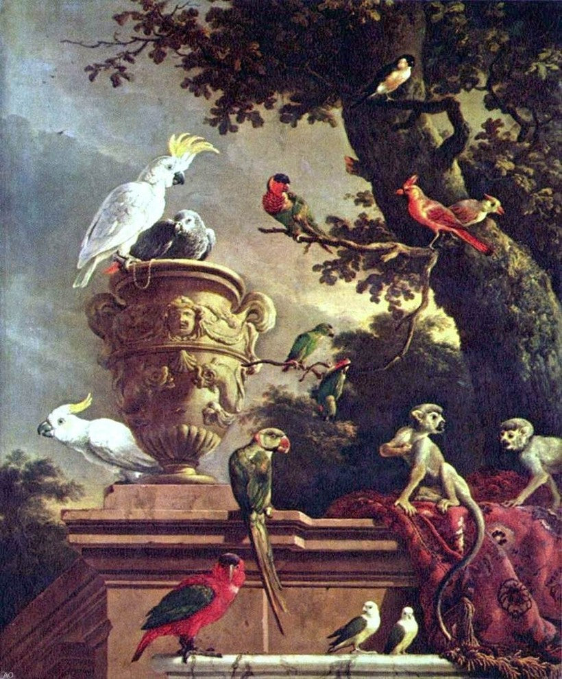 Melchior D'Hondecoeter The Menagerie - 20" x 25" Premium Canvas Print