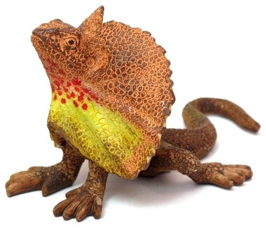 Frilled Neck Desert Lizard