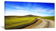 "Rural Road And Olive Trees Uphill" Landscape Wall Art, 32"x16"