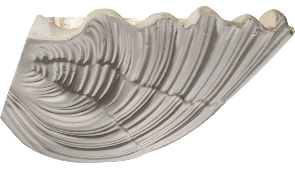 11 3/8"W x 7 1/8"D x 6 5/8"H Shell Wall Sconce