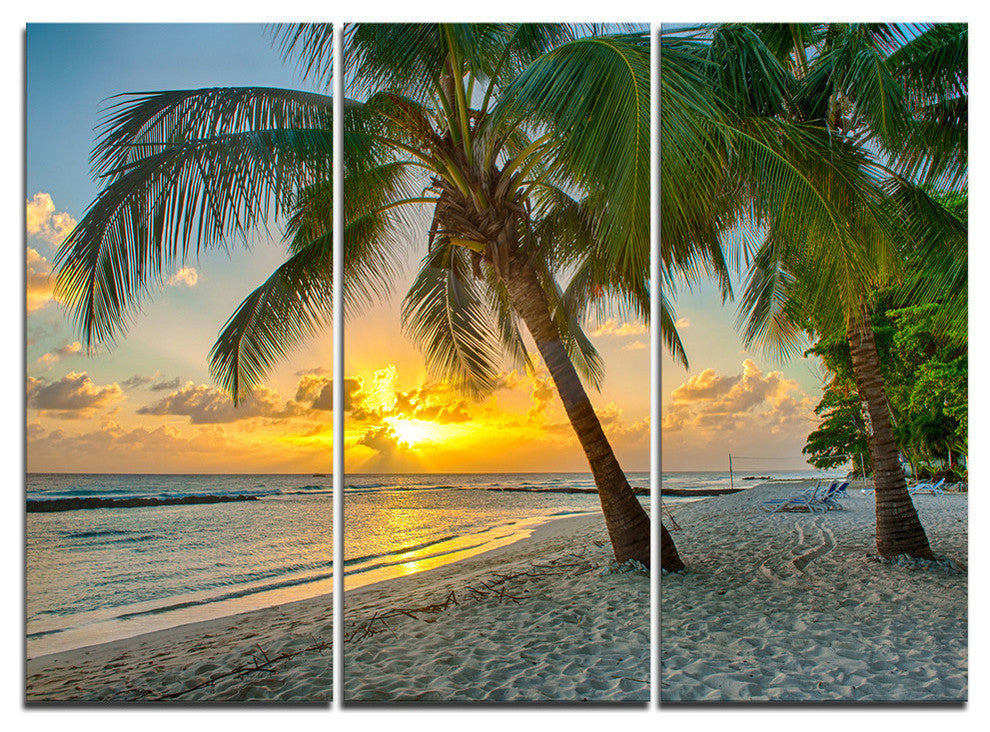 "Beach in Caribbean Island of Barbados" Metal Wall Art, 3 Panels, 36"x28"