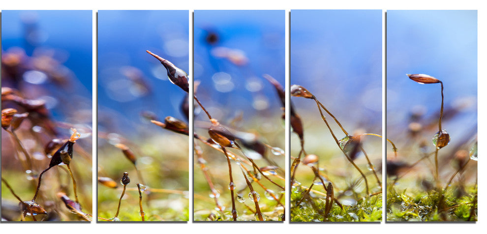 "Abstract Summer Spring Moss Flowers" Landscape Wall Art, 5 Panels, 60"x28"