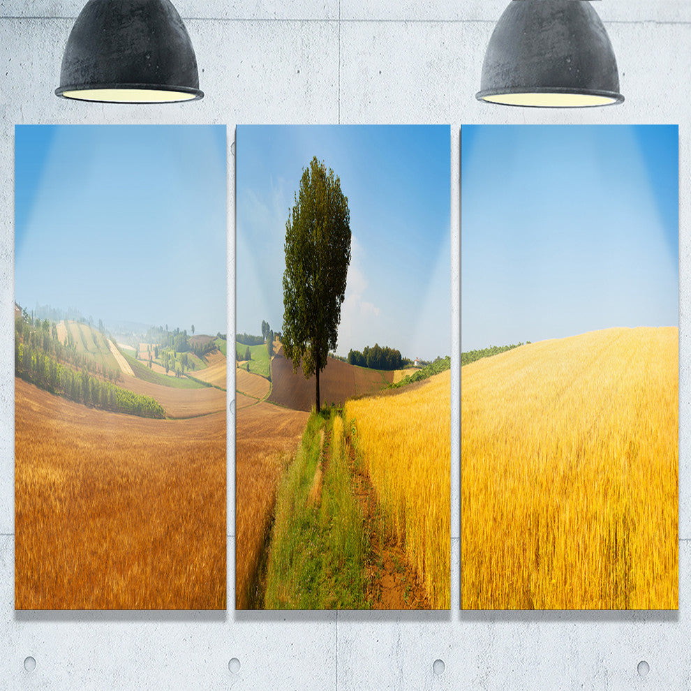 "Tuscany Wheat Field Hill Panorama" Metal Wall Art, 3 Panels, 36"x28"