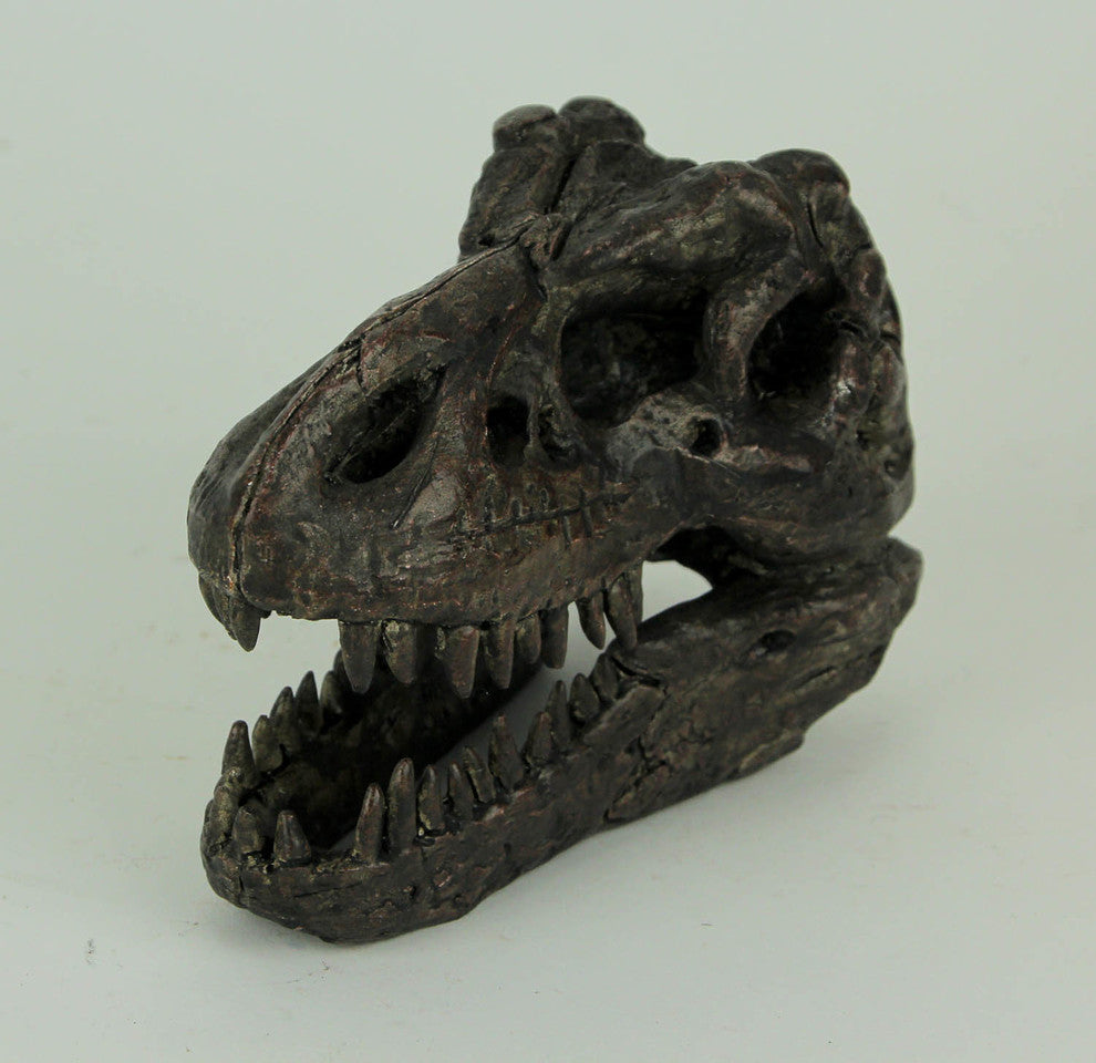 Tyrannosaurus Rex Dinosaur Head Fossil Statue Small