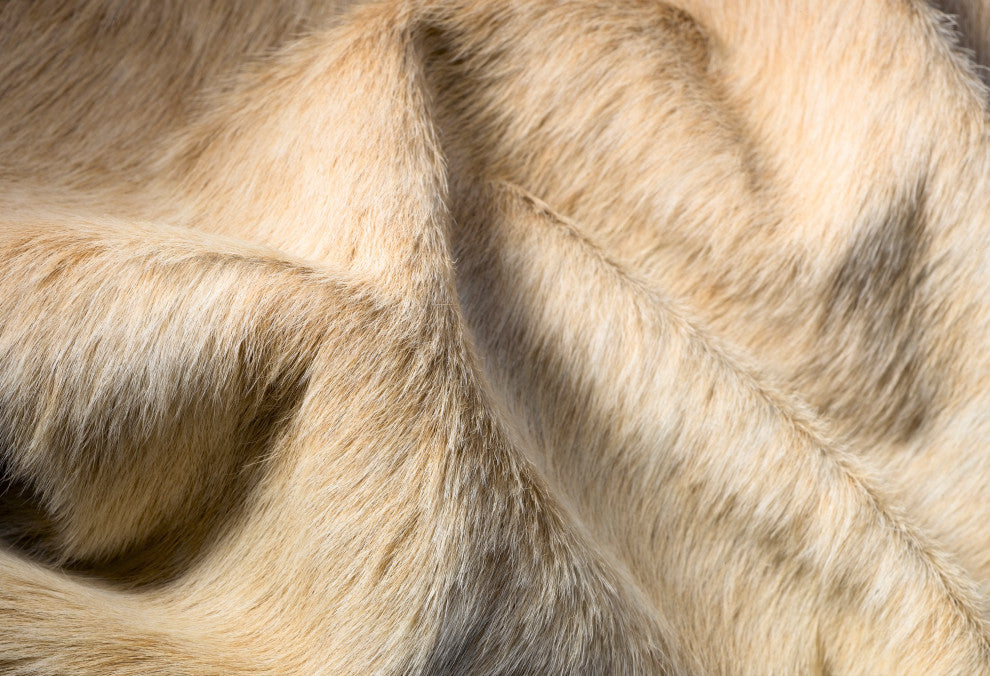 Geneva Cowhide Rug, 5'x7', Natural