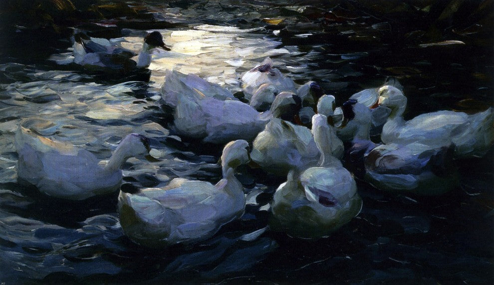 Alexander Koester Enten Im Wasser - 18" x 27" Premium Canvas Print
