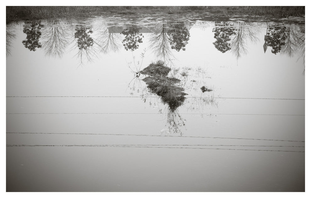 JAY'S POND, Black and White, 30x45