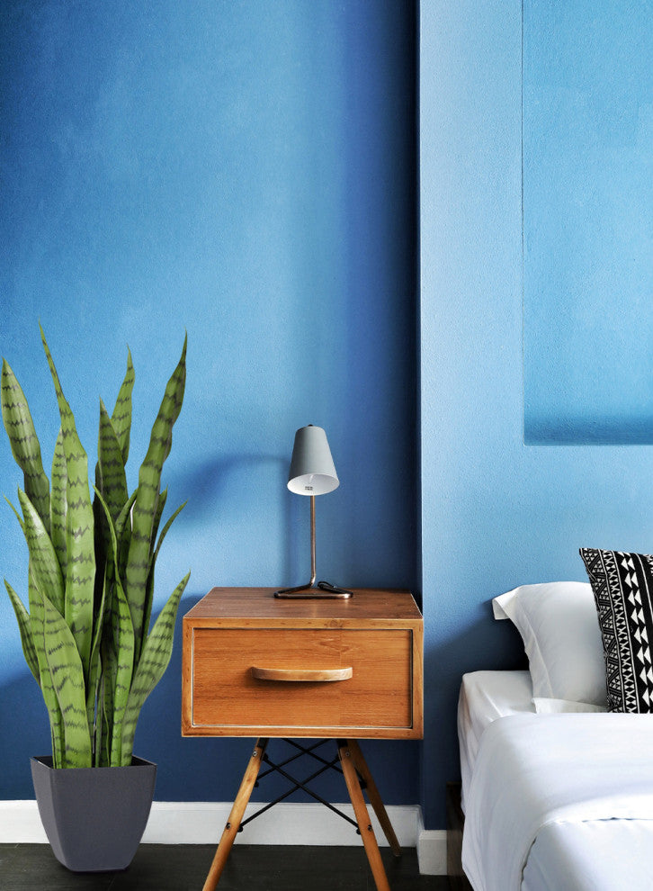 Serene Spaces Living Sansevieria Trifasciata Snake Plant, 28"