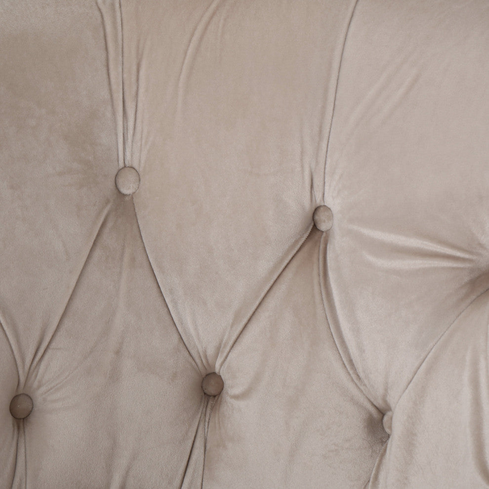 GDF Studio Aries New Velvet Tub Style Club Chair, Champagne