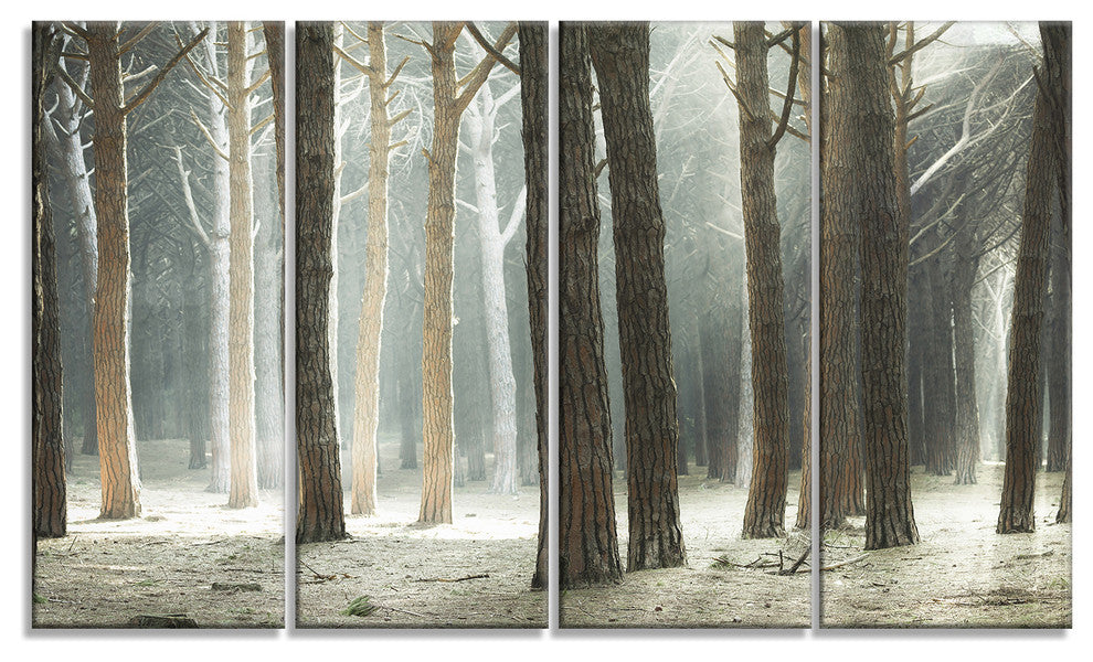 "Maritime Pine Tree Forest With Rays" Forest Wall Art, 4 Panels, 48"x28"