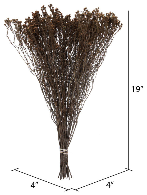 Natural Botanicals 19" x 4" Staavia, 100 grams per Unit , Natural, 19" x 4"