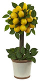 Lemon Ball Topiary Arrangement