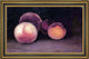 Gustave Caillebotte Peaches Nectarines and Apricots Framed Canvas Print, 16"x24"