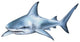 Shark Peel and Stick Applique 190818