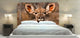 "Buck" Headboard